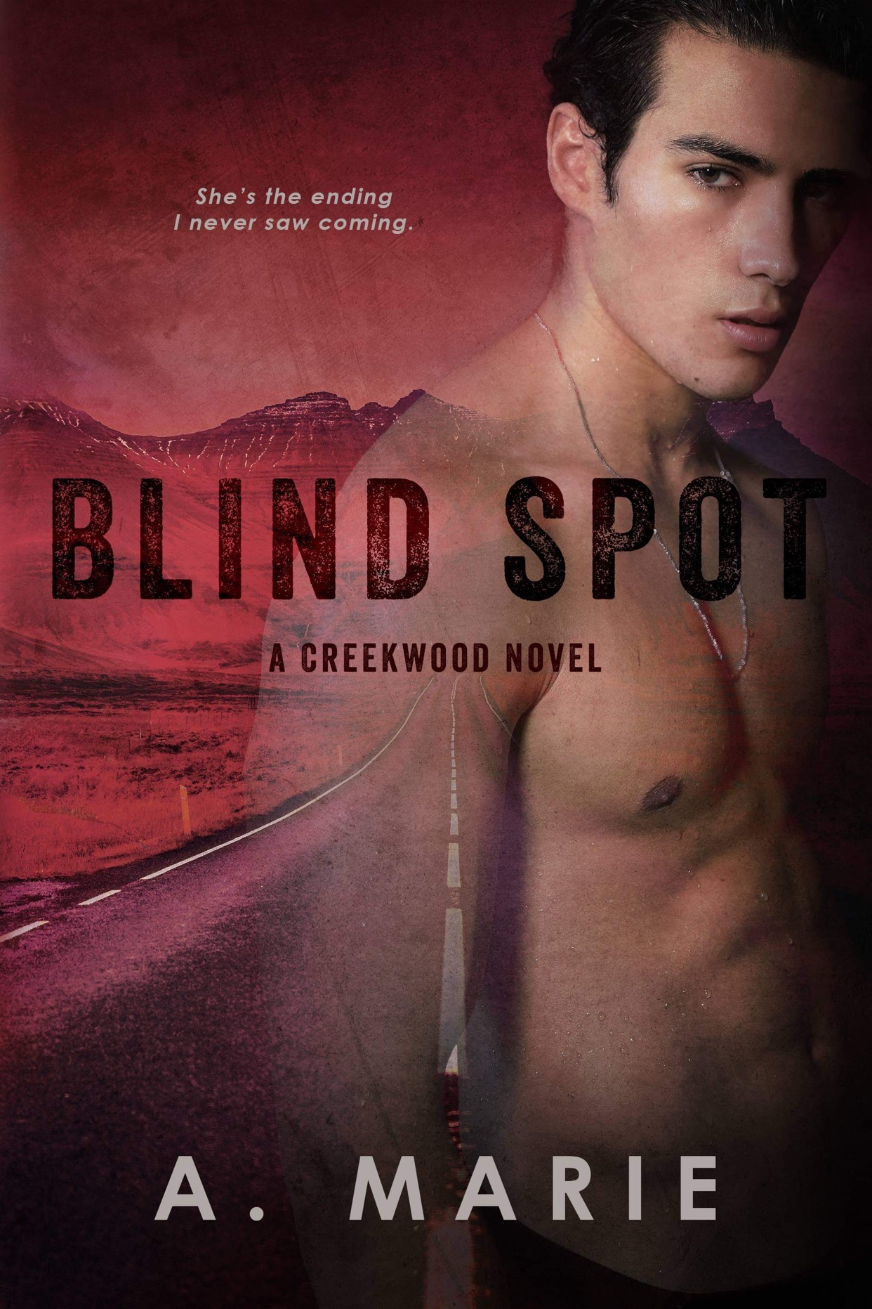 Blind Spot (Creekwood, #3)