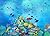 DIVE! by Rajiv Eipe