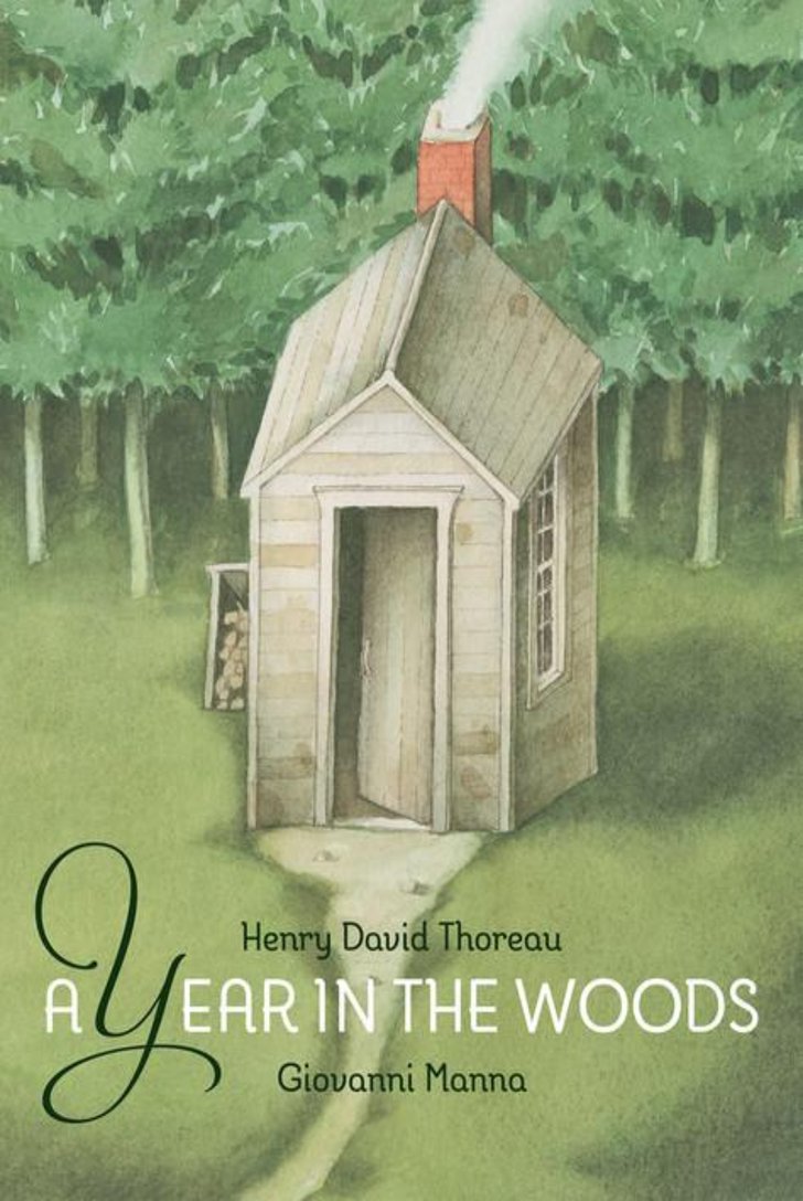 A Year in the Woods (Hardcover)
