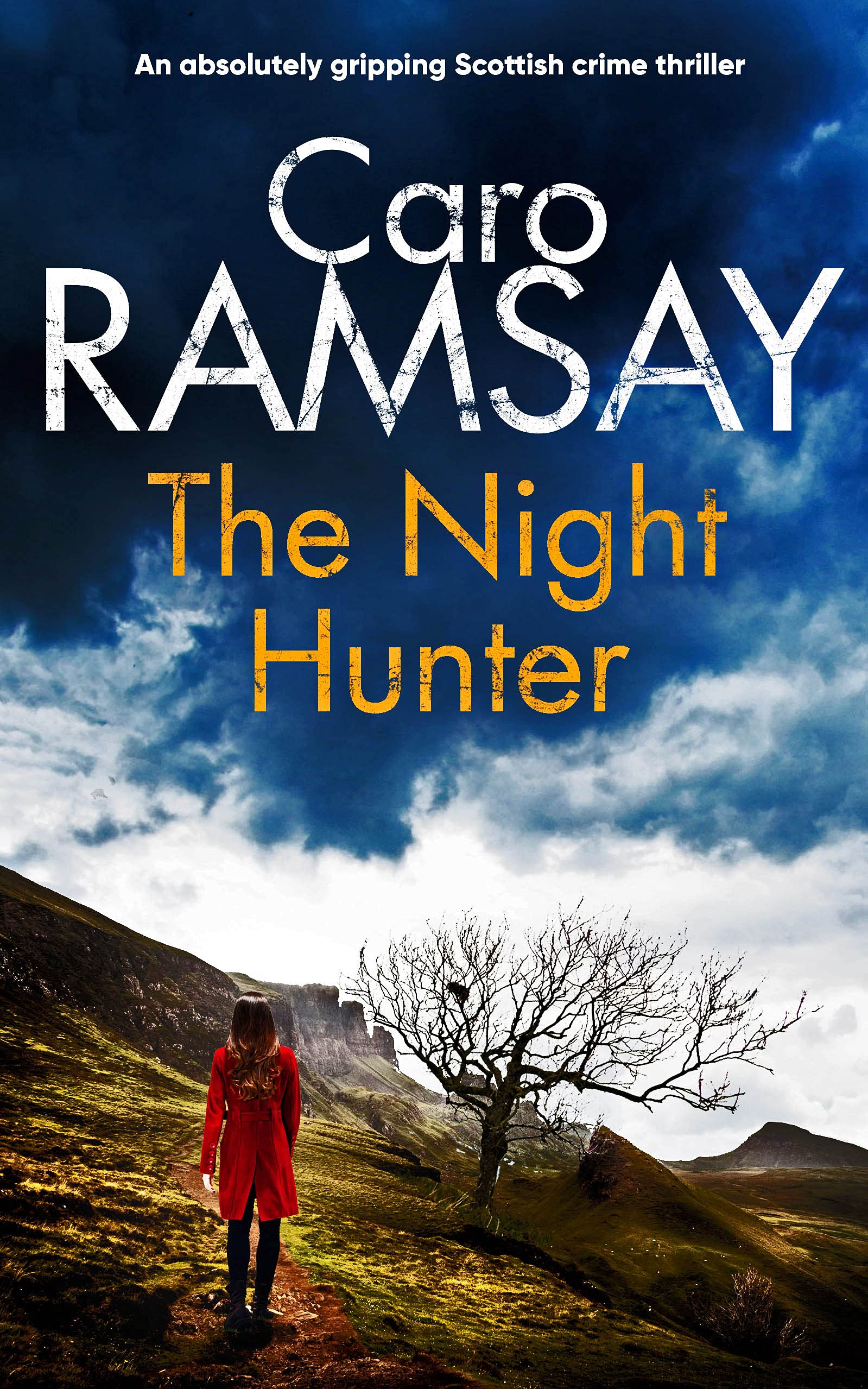 The Night Hunter (Anderson and Costello #5)