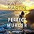 The Perfect Murder (Maximum Security, #4)