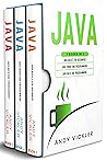 Java: 3 books in ...