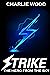 Strike: The Hero From The Sky