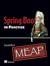Spring Boot in Practice