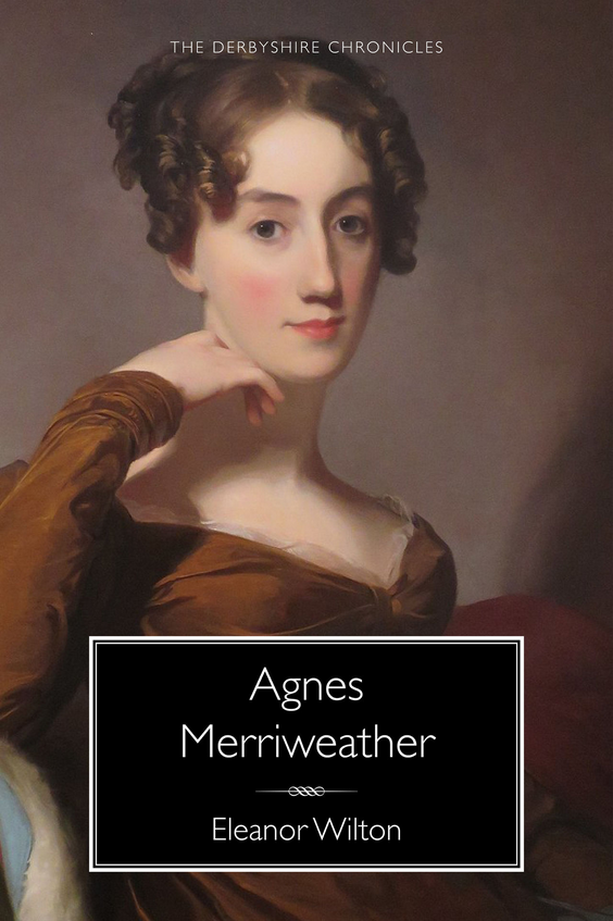 Agnes Merriweather (Kindle Edition)
