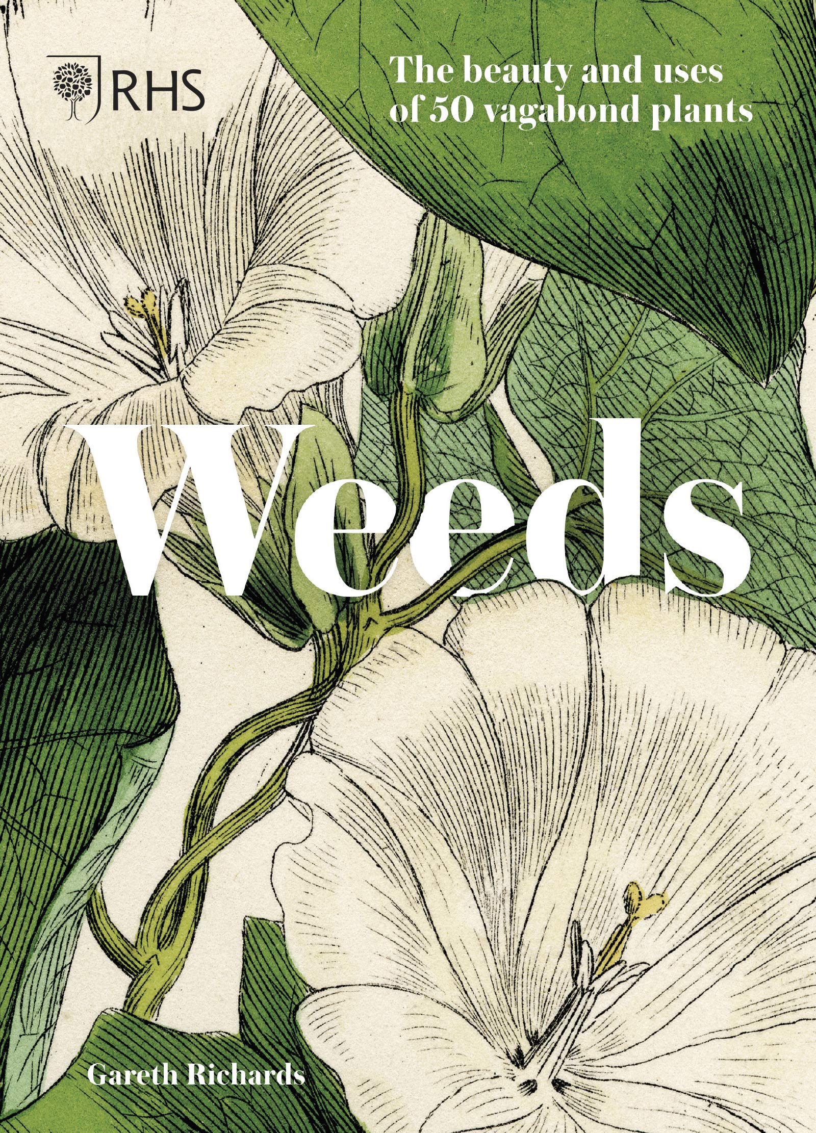 Weeds: The beauty and uses of 50 vagabond plants (Hardcover)
