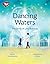 Dancing Waters by Yvette Fernandez