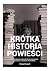 Krótka historia powieści
