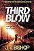 Third Blow (The Family or Foe Saga, #3)