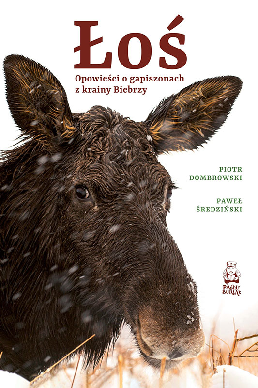 Łoś. Opowieści o gapiszonach z krainy Biebrzy