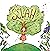 Selah The Peach: A book abo...
