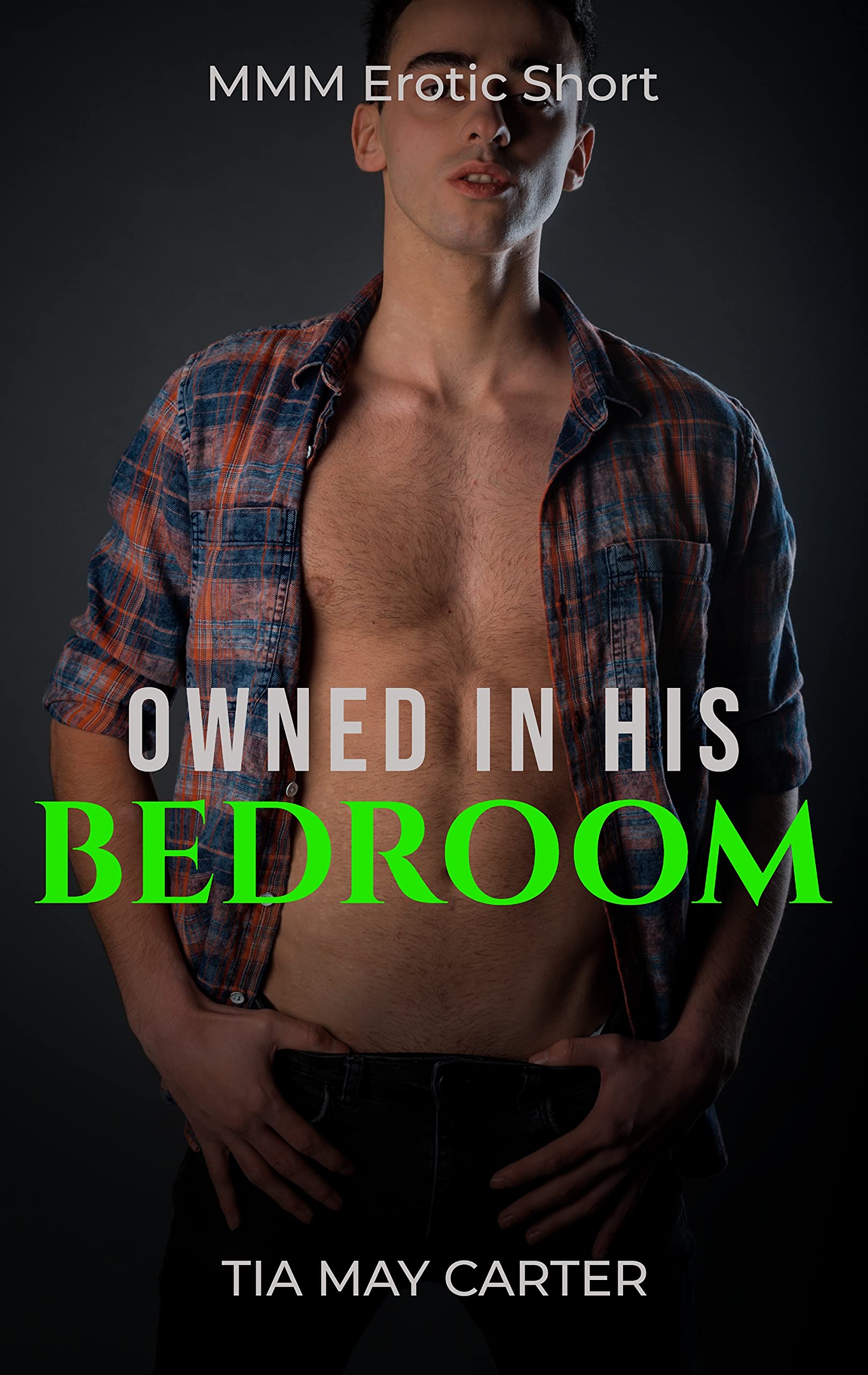 Owned in His Bedroom (Claiming the Twink, #4)