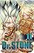 Dr. Stone, Vol. 11 (Dr. Stone, #11)