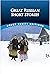 Great Russian Short Stories by Paul Negri