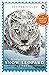 Snow Leopard Adventure