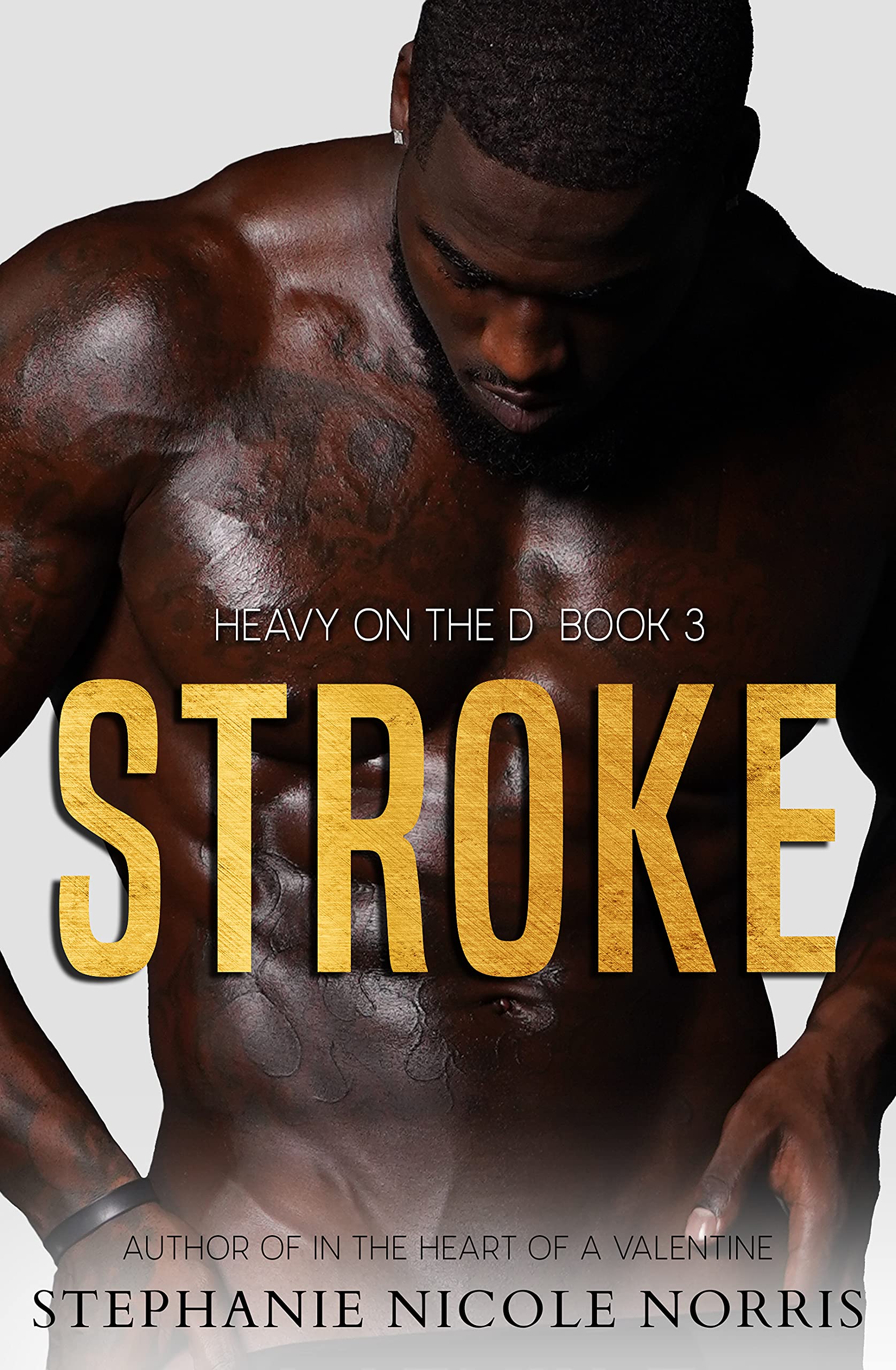 STROKE (Heavy On The D Book 3)