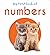 My First Book of Numbers: First Board Book (My First Books)