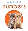 My First Book of Numbers: First Board Book (My First Books)