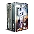 The David Wolf Mystery Thriller Series: Books 11-13