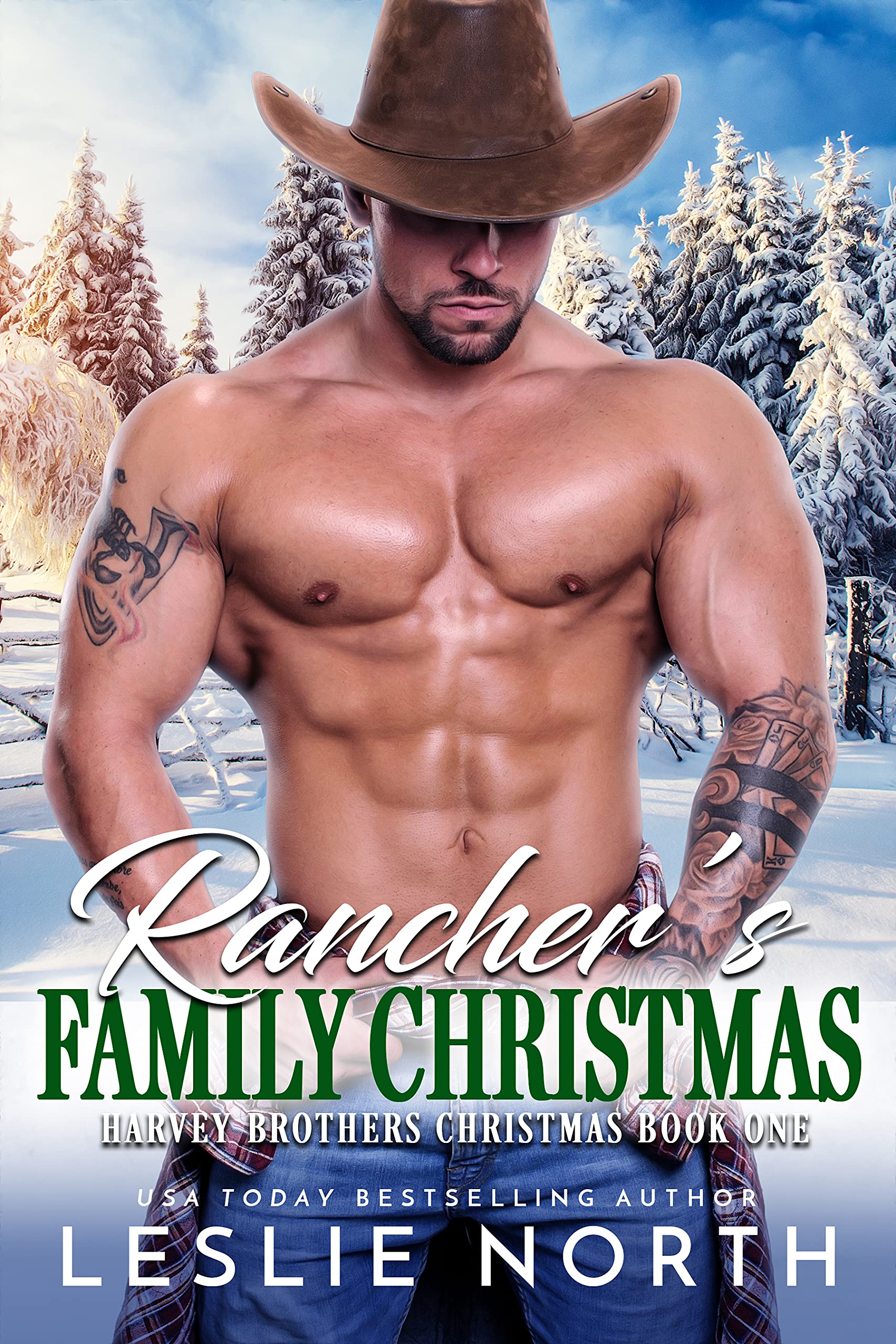 Rancher's Family Christmas (Christmas at the Harvey Ranch, #1)