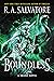 Boundless by R.A. Salvatore
