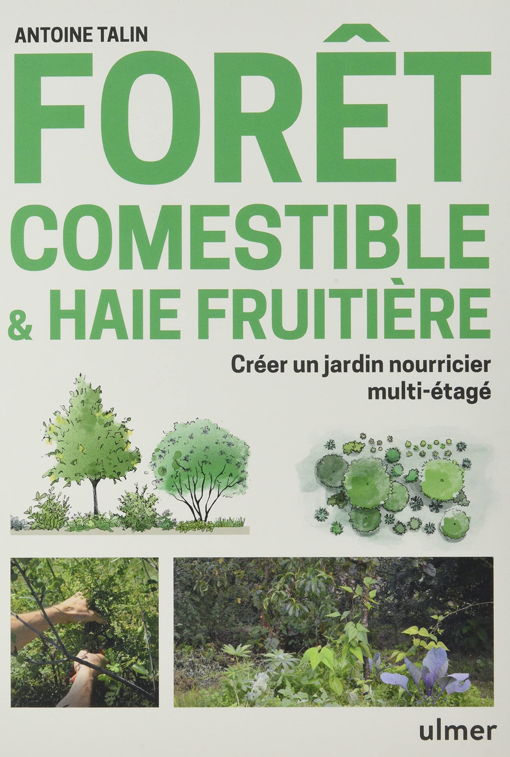 Forêt comestible & haie fruitière - Créer un jardin nourricier multi-étagé (Paperback)