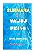 SUMMARY OF MALIBU RISING: A...