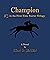 Champion: #3 in the First-Time Starter Trilogy