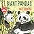 Giant Pandas by Gail Gibbons