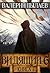 Видящий-6. Рагнарёк. Книга 1
