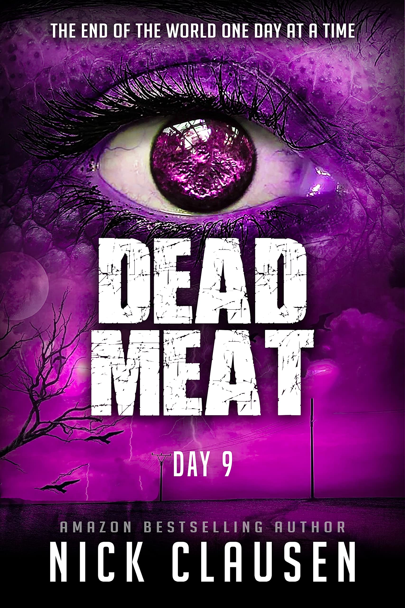 Dead Meat: Day 9 (Dead Meat #9)