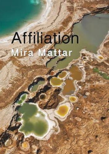 Affiliation (Paperback)