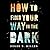 How to Find Your Way in the Dark (Sheldon Horowitz #1)