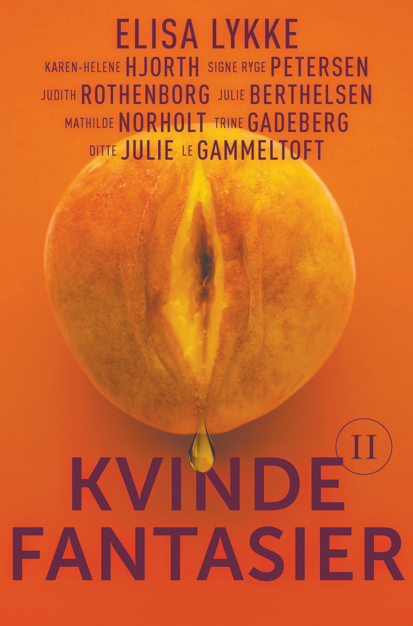 Kvindefantasier 2