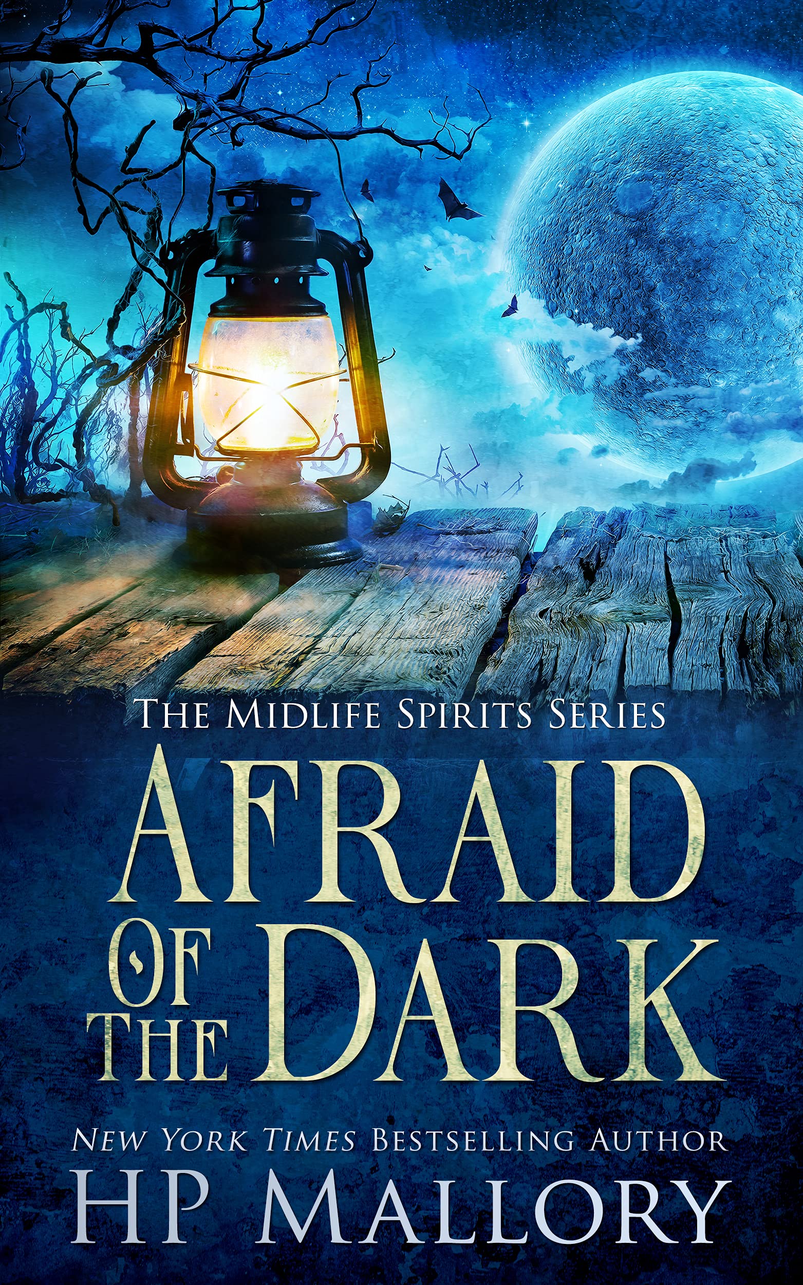 Afraid of the Dark (Midlife Spirits, #1)