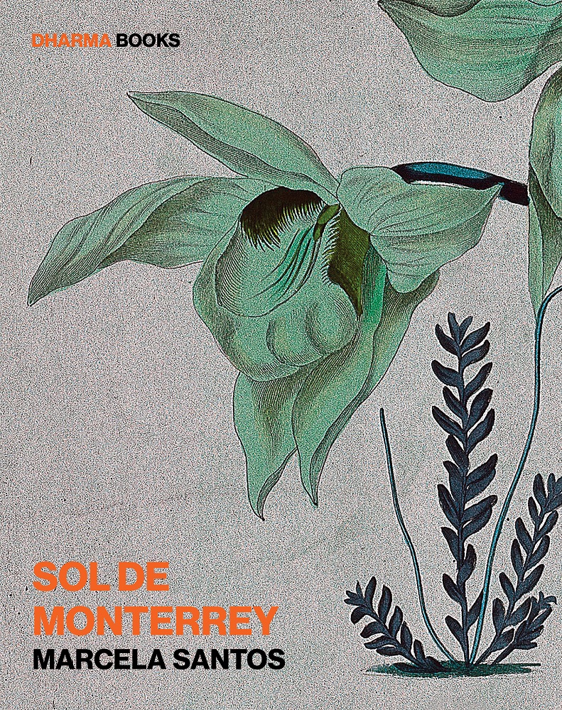 Sol de Monterrey (Kindle Edition)