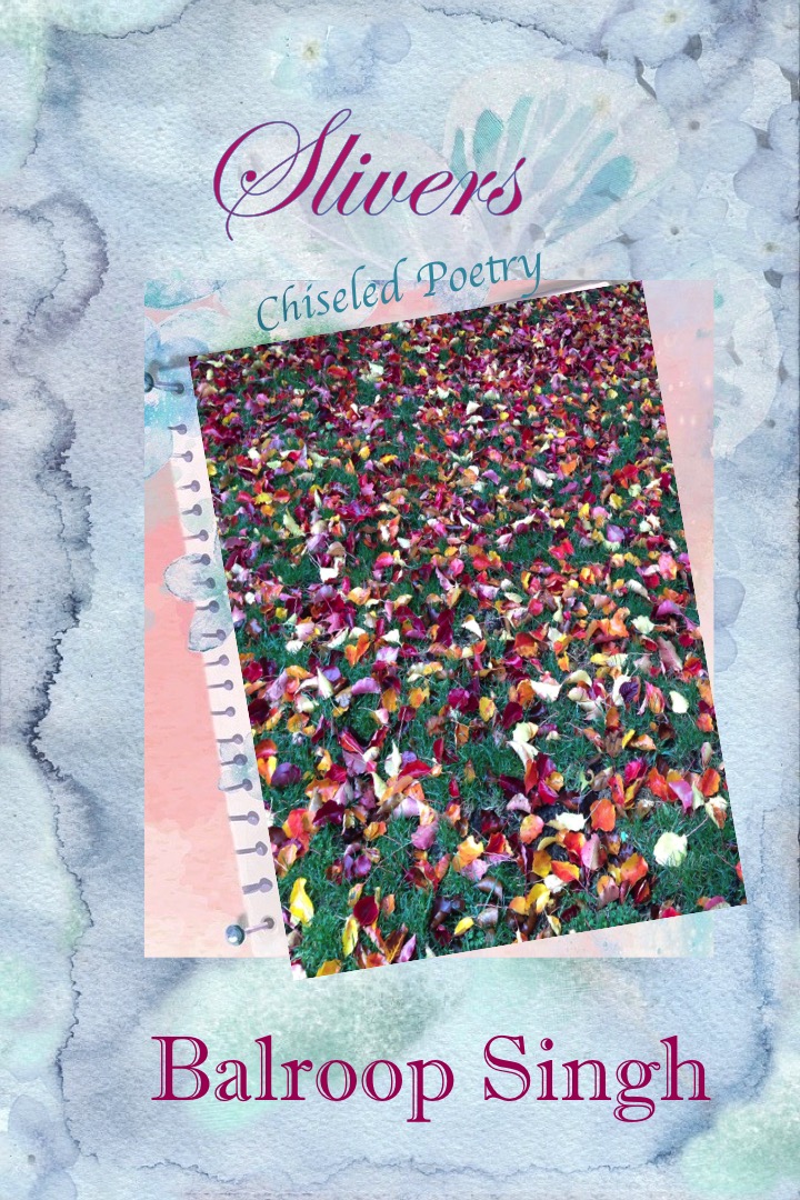 Slivers: Chiseled Poetry