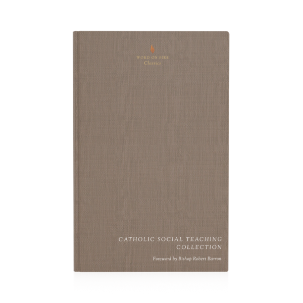 Catholic Social Teaching Collection