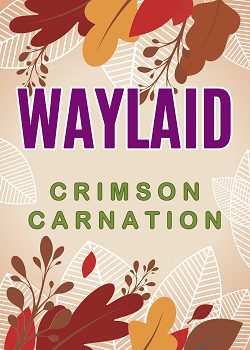 Waylaid (ebook)