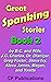 Great Spanking Stories: Book 2