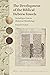 The Development of the Biblical Hebrew Vowels: Including a Concise Historical Morphology (Studies in Semitic Languages and Linguistics, 99)