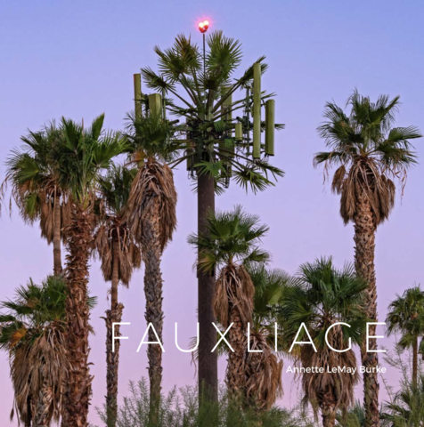 Fauxliage: Disguised Cell Phone Towers of the American West
