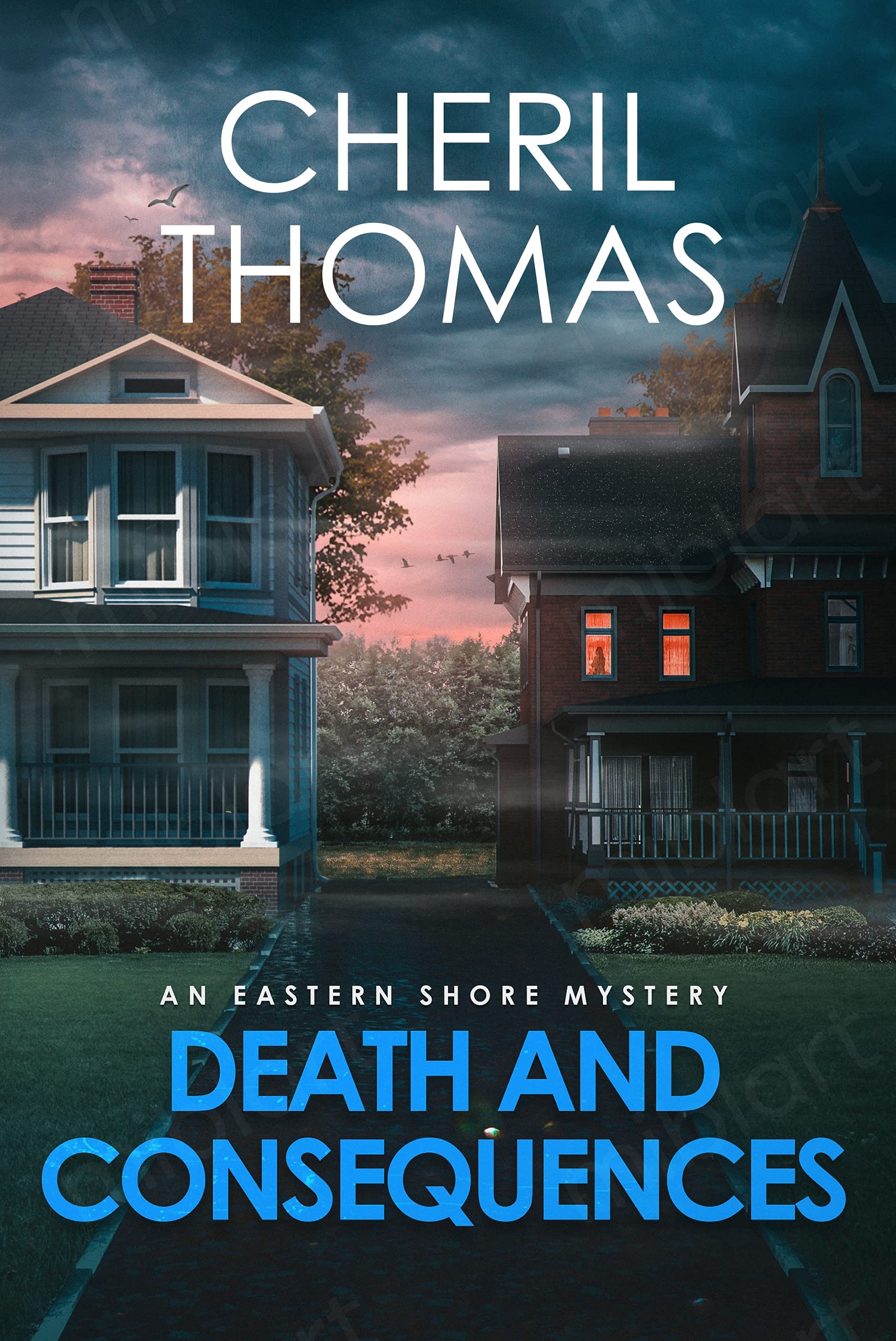 Death and Consequences (Eastern Shore Mysteries #4)