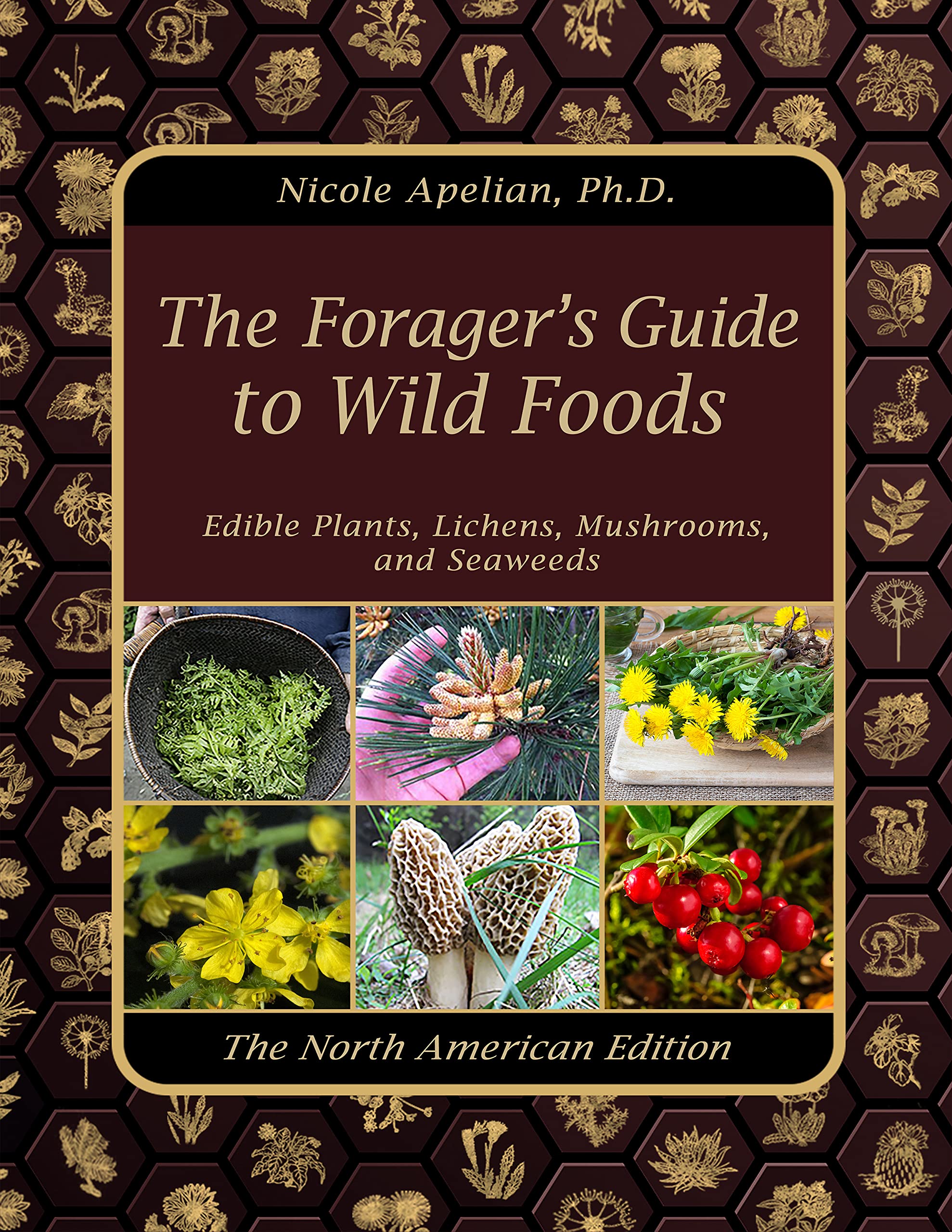 The Forager’s Guide to Wild Foods (Paperback)