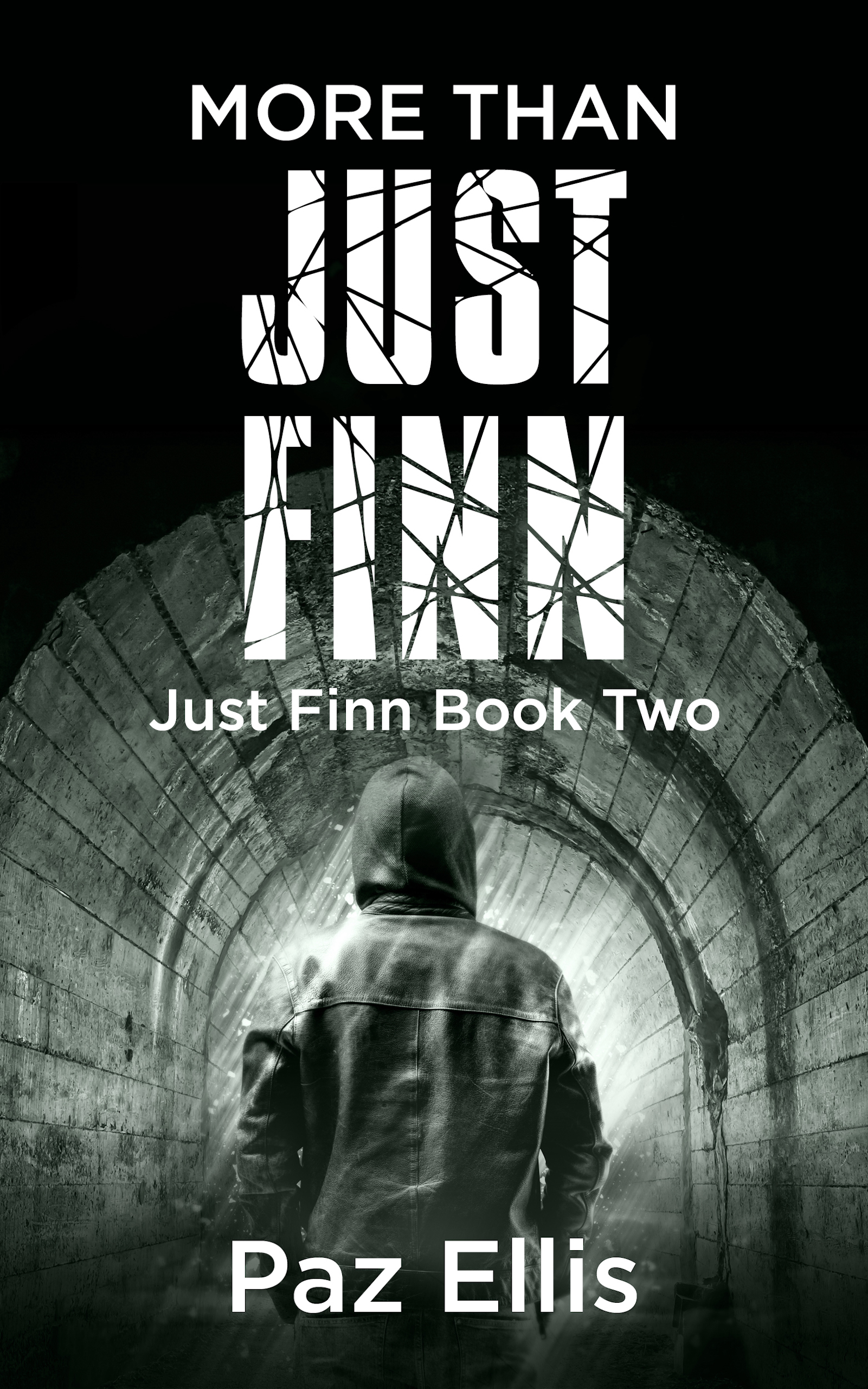 More Than Just Finn (Book 2)