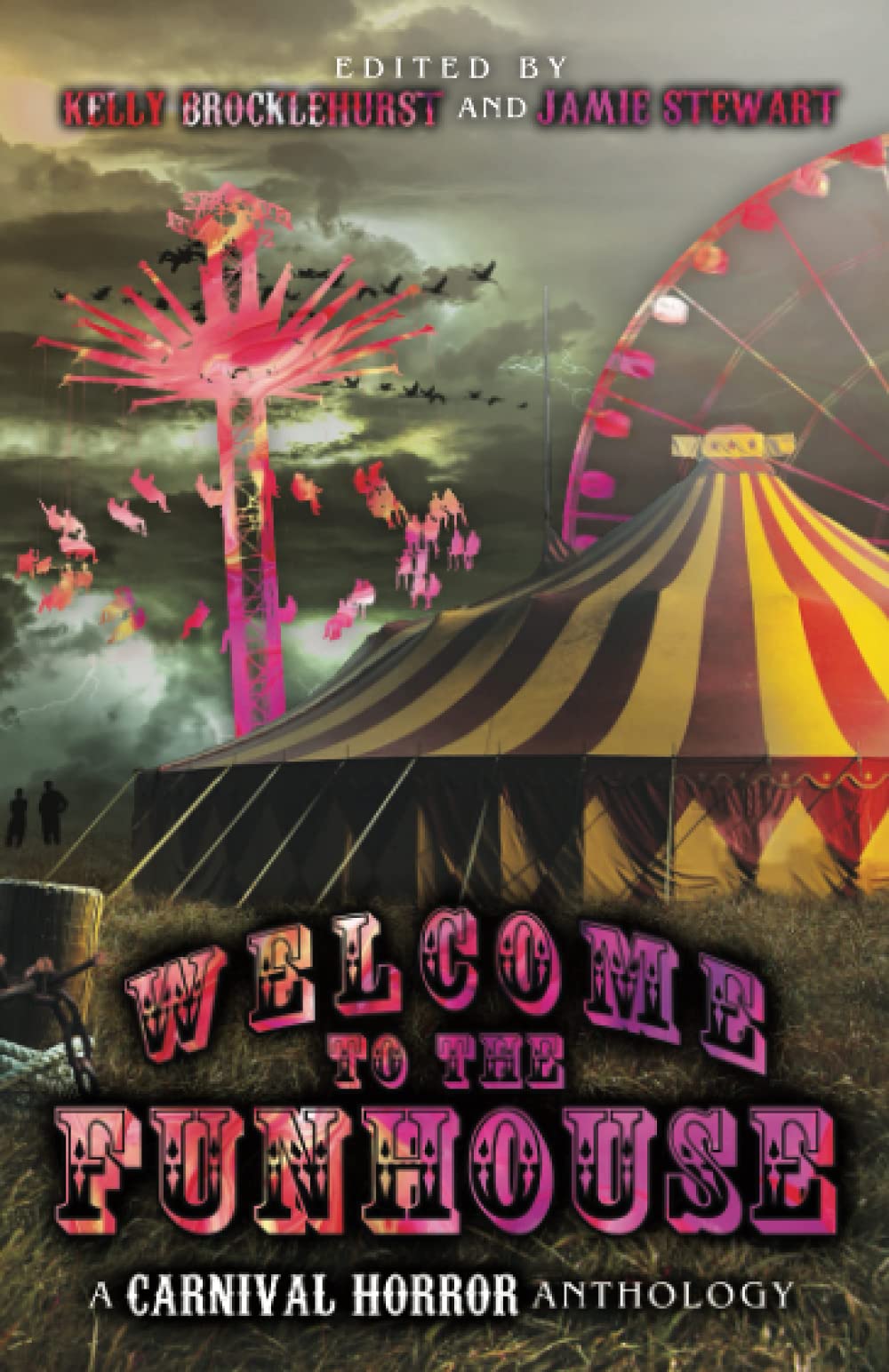 Welcome to the Funhouse (Paperback)