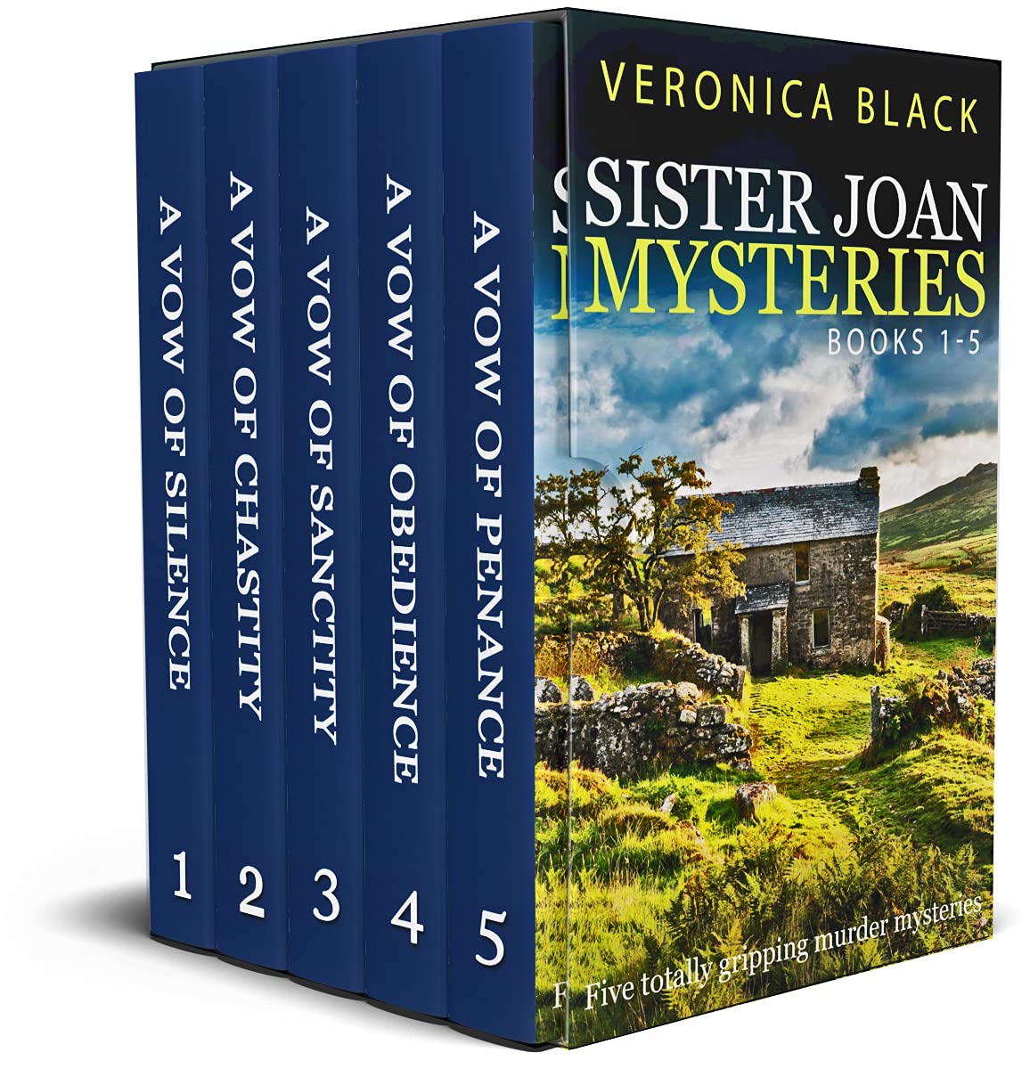 Sister Joan Mysteries #1-5: A Vow of Silence / A Vow of Chastity / A Vow of Sanctity / A Vow of Obedience / A Vow of Penance (Sister Joan Mystery #1-5)