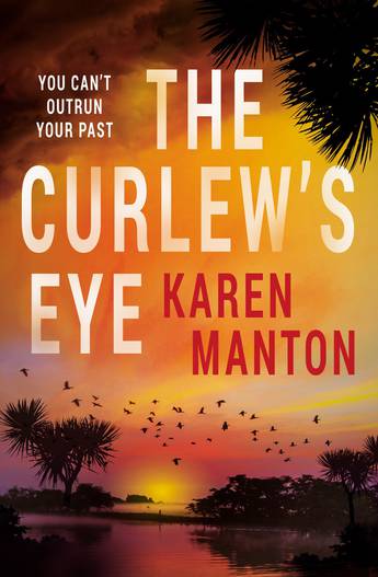The Curlew's Eye (Paperback)