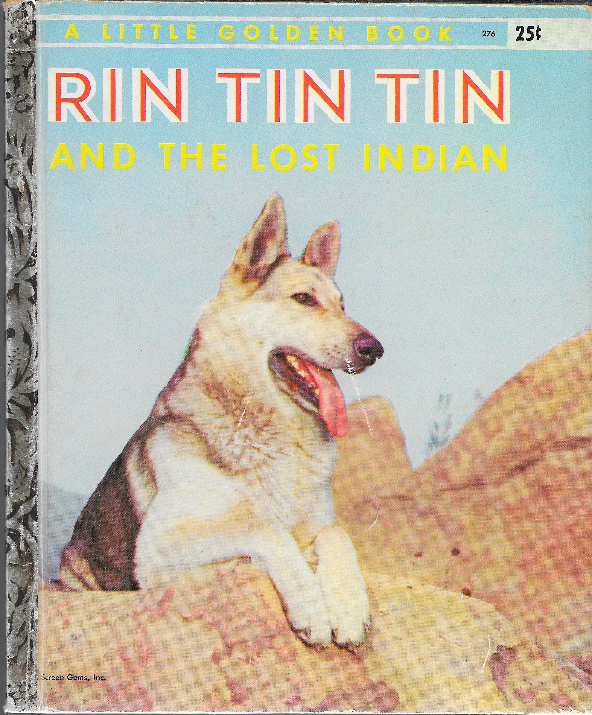 Rin Tin Tin and the Lost Indian (Paperback)