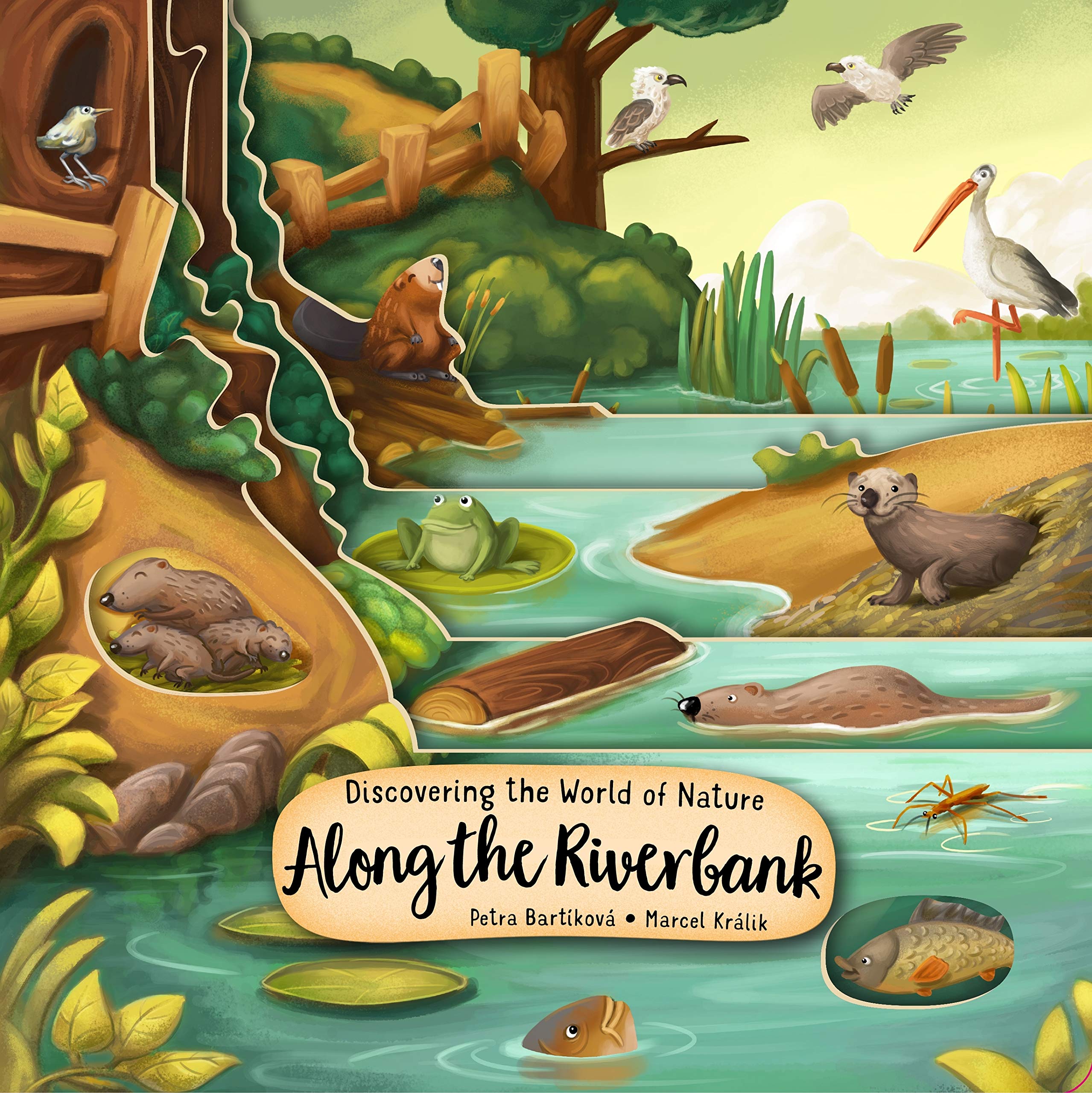 Along the Riverbank (Board book)